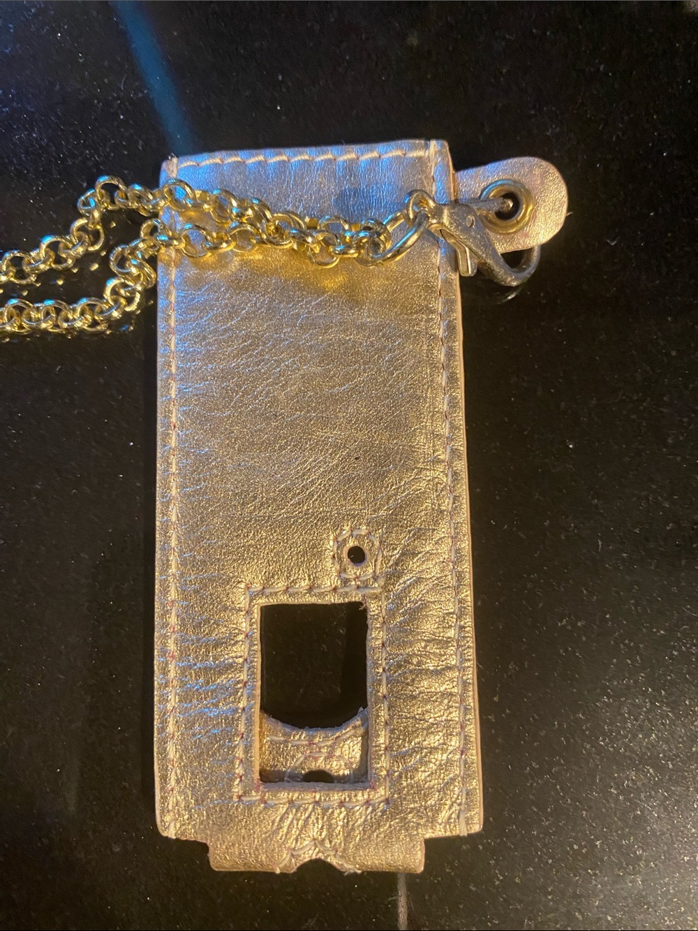 Gold Nano I pod holder Case with chain in gold lame